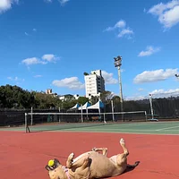 小比