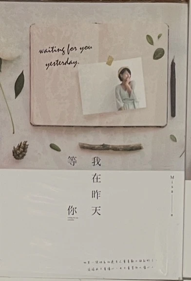 二手書籍-我在昨天等你 商品圖片