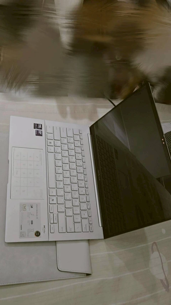 𝙰𝚜𝚞𝚜 𝚉𝚎𝚗𝙱𝚘𝚘𝚔 𝟷𝟺 𝙾𝙻𝙴𝙳 𝚄𝚕𝚝𝚛𝚊  商品圖片