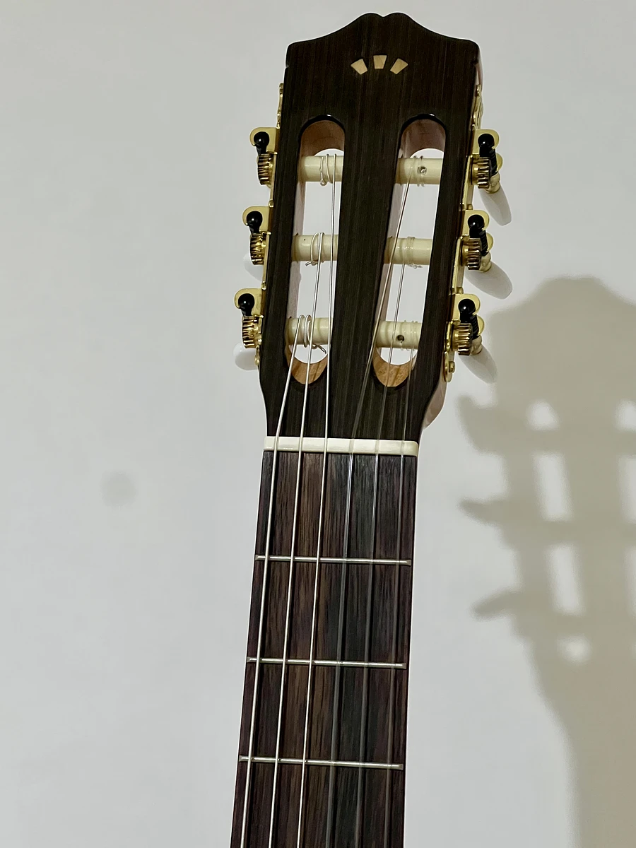 Cordoba c5 古典吉他 圖片 2