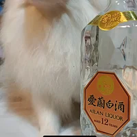 沒開過的酒