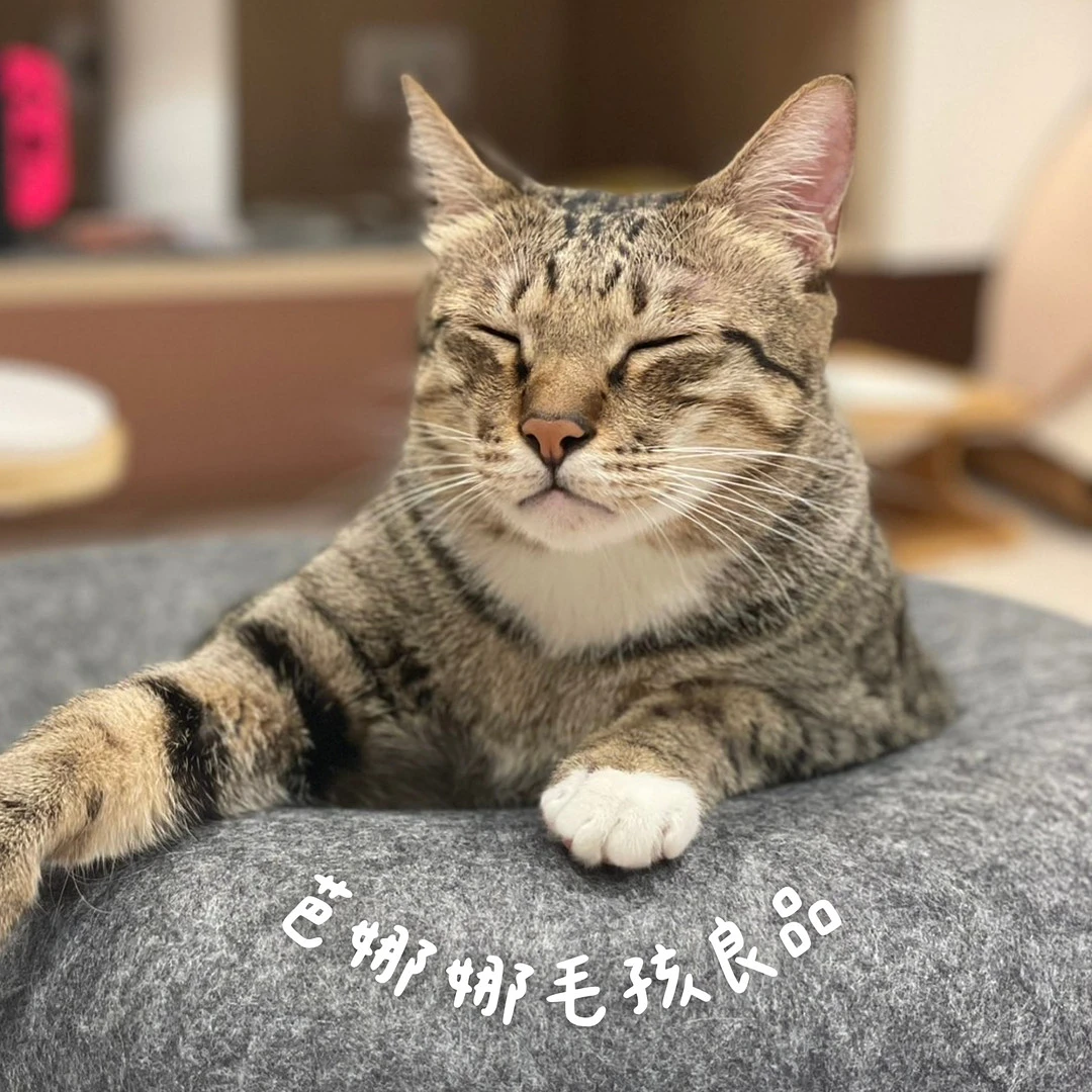 芭娜娜毛孩良品 廣告圖片