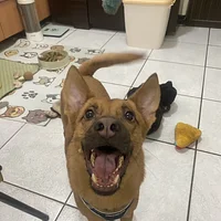 宗介