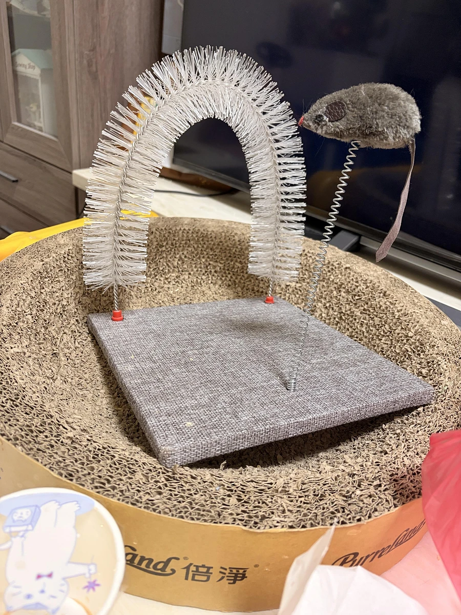 貓咪彈簧鼠鼠玩具 商品圖片
